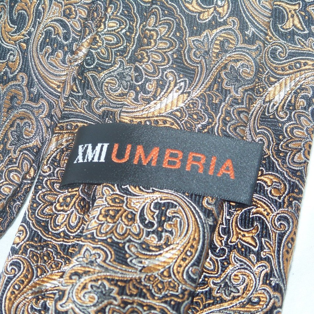 XMI Umbria by Siegel's Clothing Company 100% Silk Black/Copper Paisley Neck Tie